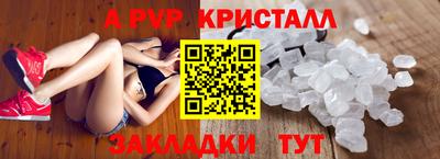 прущие грибы Гусиноозёрск