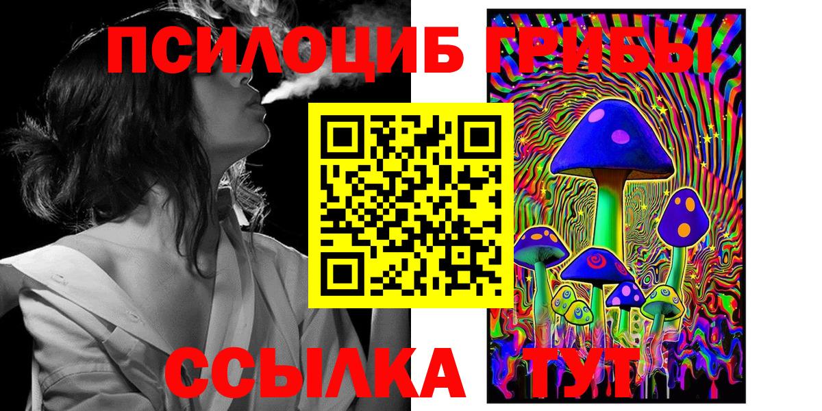 Псилоцибиновые грибы Psilocybine cubensis Химки