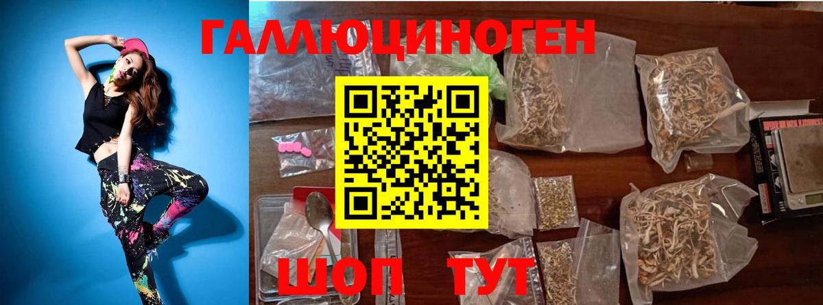 Химки  Псилоцибиновые грибы Psilocybine cubensis  Вход с VPN  Галлюциногенные грибы Cubensis 